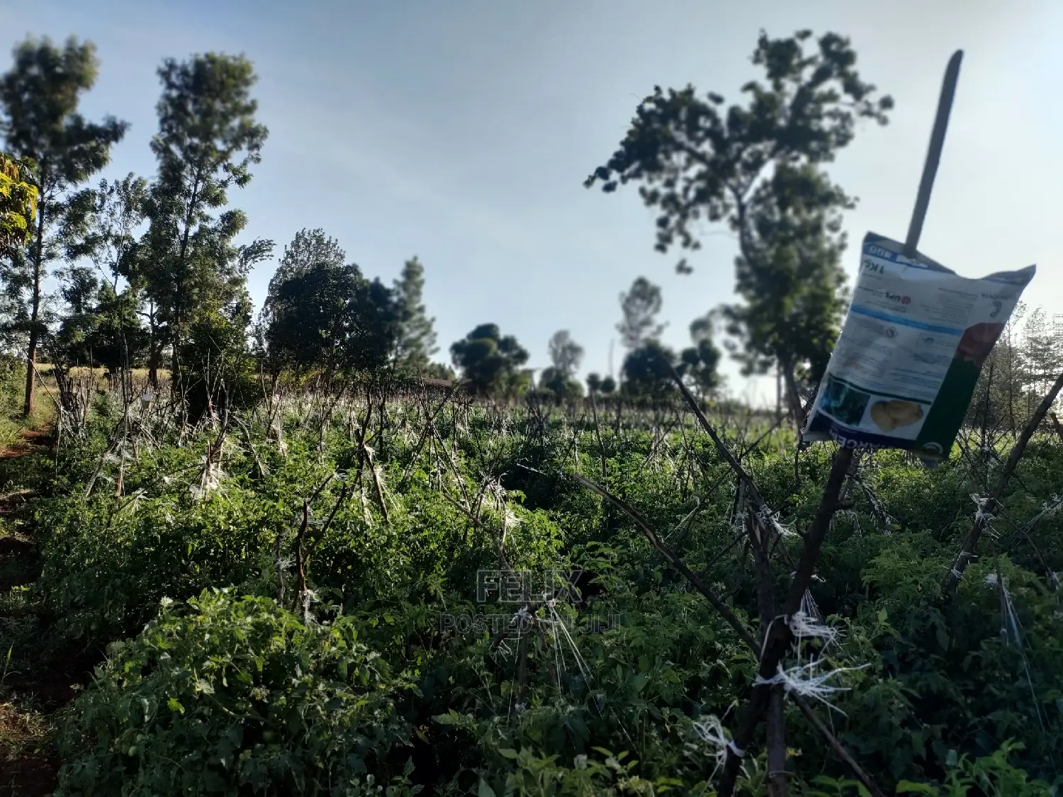 Sagana/ Makutano Tana