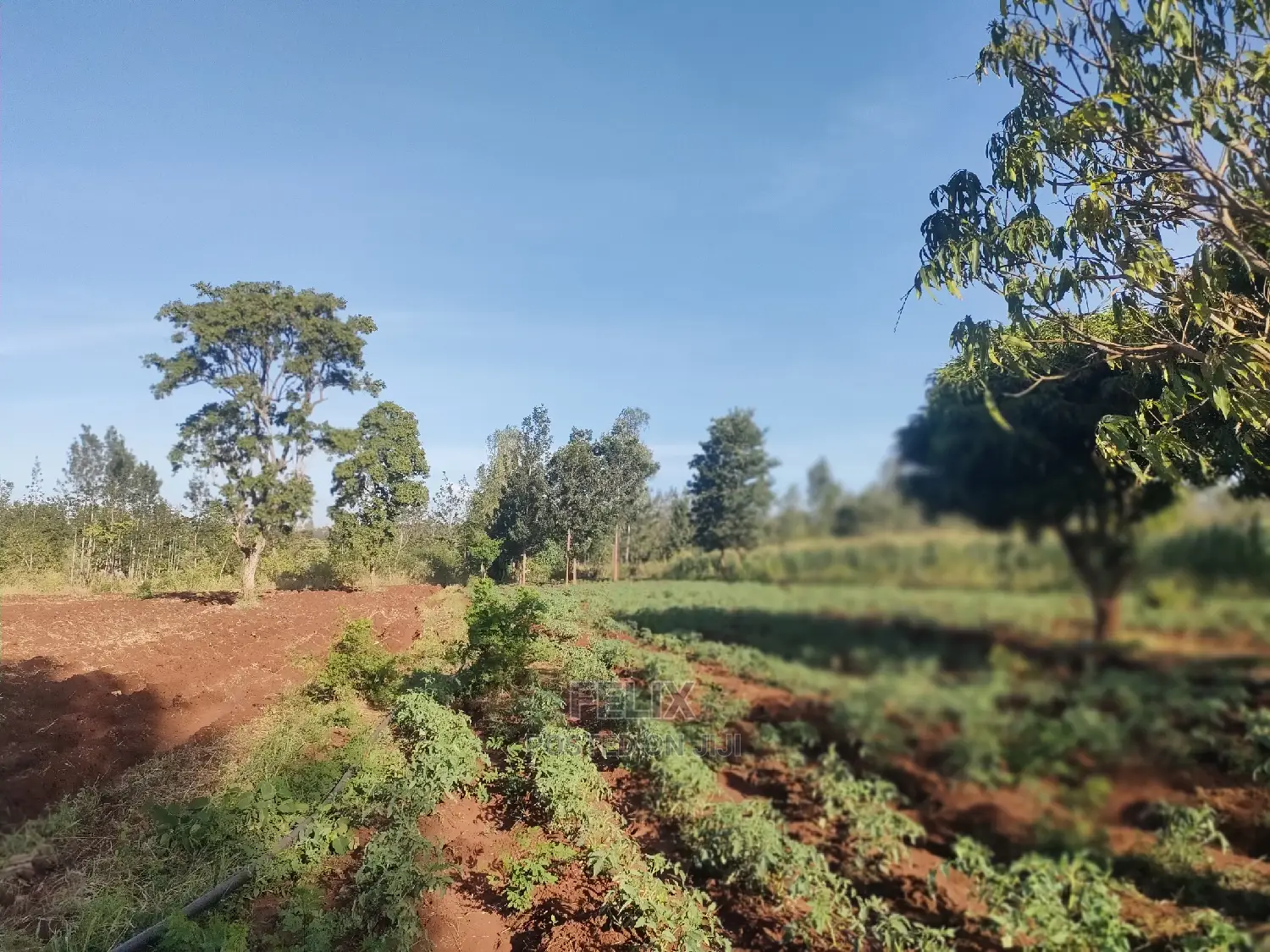 Sagana/ Makutano Tana