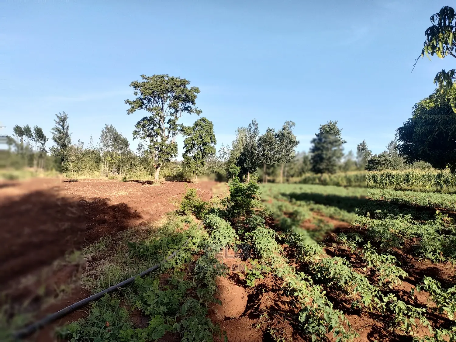 Sagana/ Makutano Tana