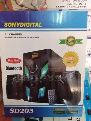 Sony Digital 2.1
