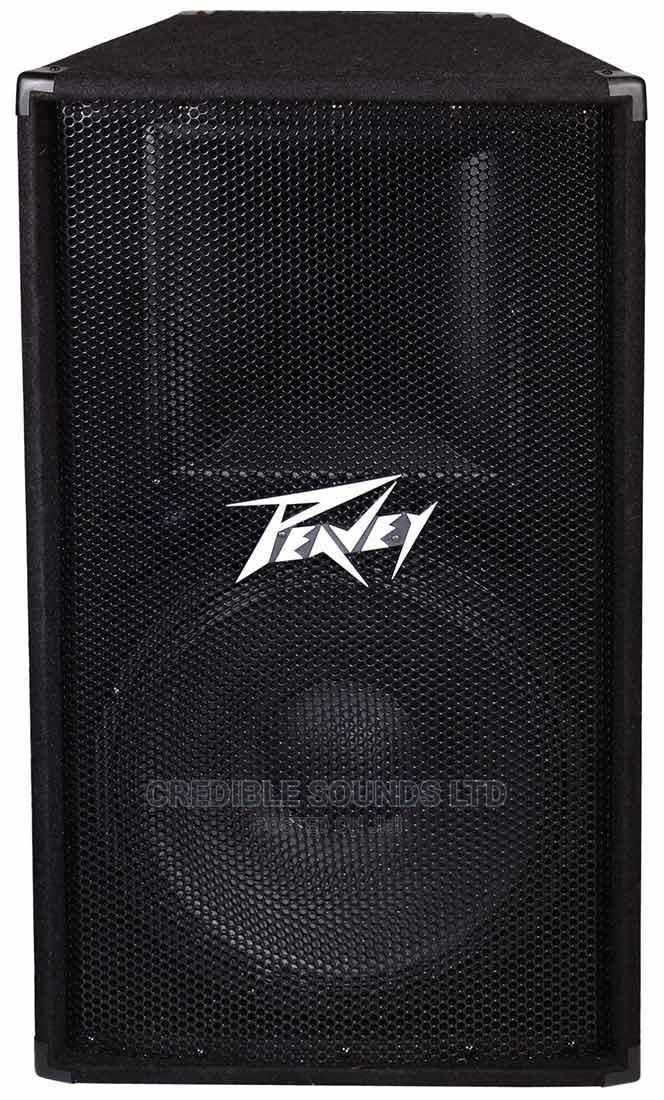 Peavey PV115 Passive MidRange Loudspeaker in Nairobi Central Audio