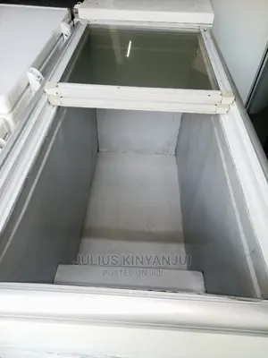 Deep Freezer 450l