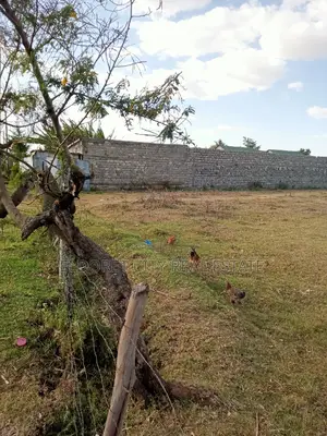 1/4 Plot Kimumu for Sale With Title
