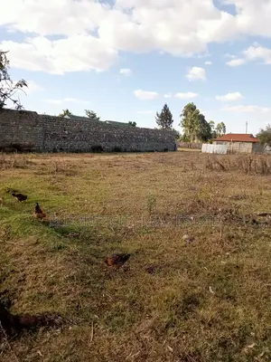 1/4 Plot Kimumu for Sale With Title