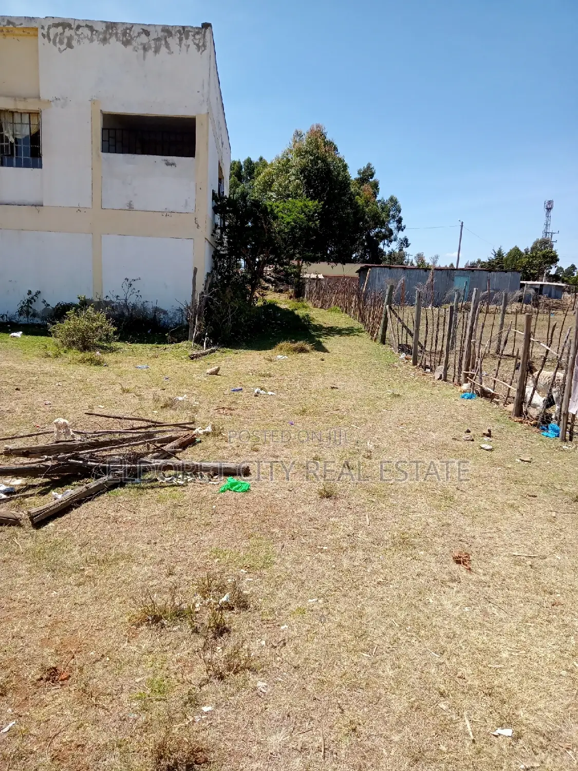 1/8 Plot Mti Moja With Title