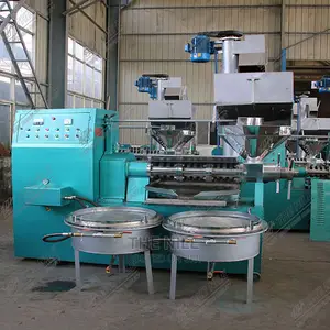 Automatic Feeding Peanut Tea Seed Oil Press