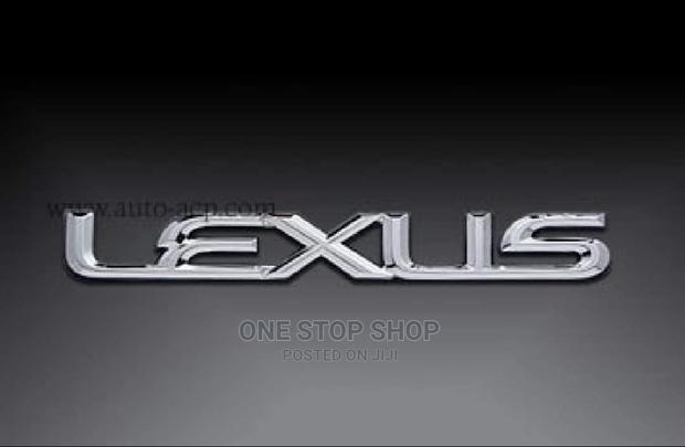 LEXUS Silver Replacement Badge