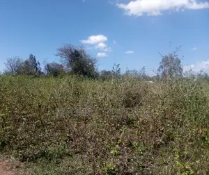 Land for Sale in Busia