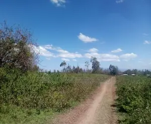 Busia Land: Your Dream Property is Just a Click Away!