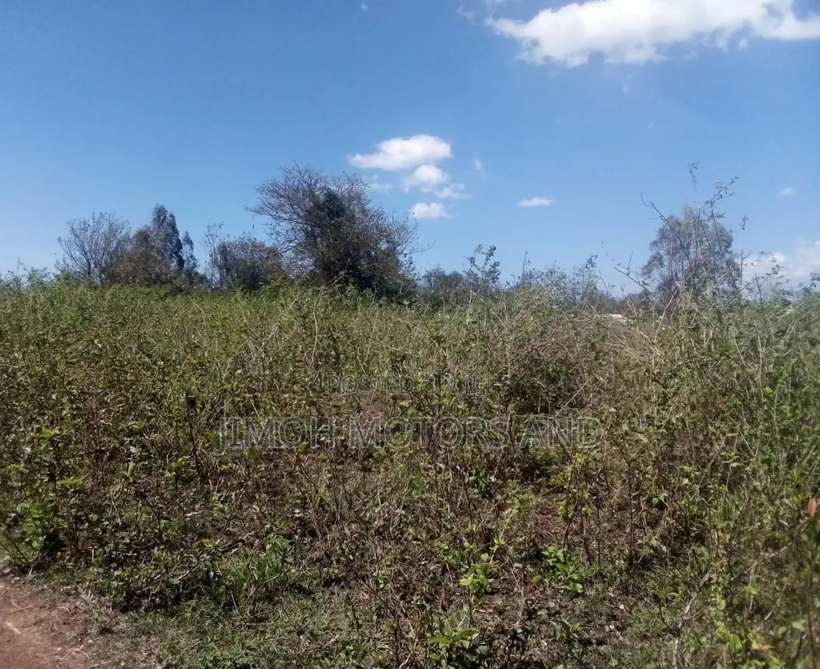 Land for Sale in Busia
