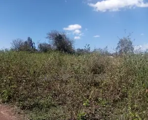 Land for Sale in Busia
