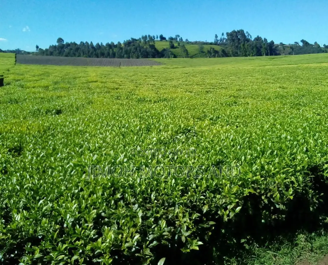 Land for Sale in Limuru