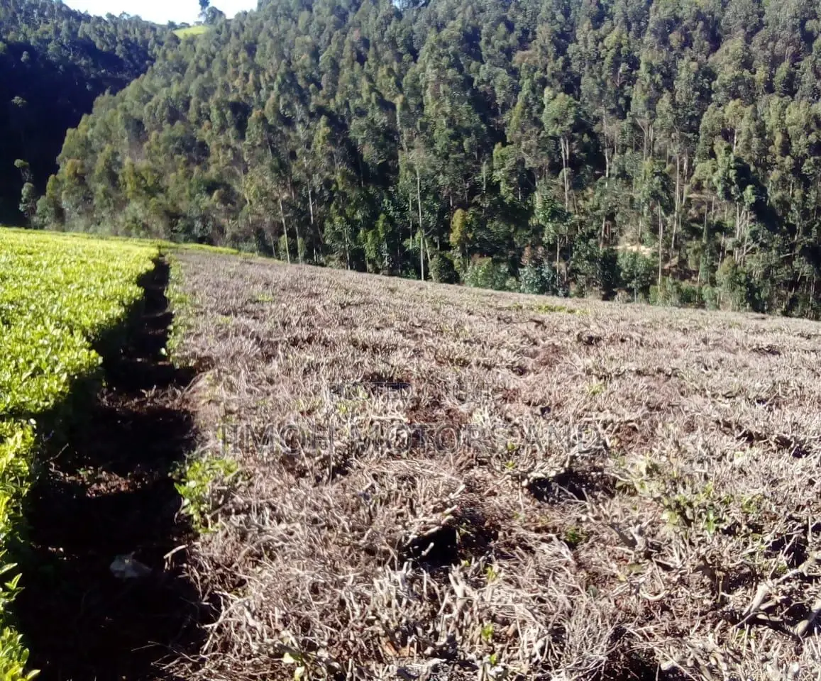 Land for Sale in Limuru