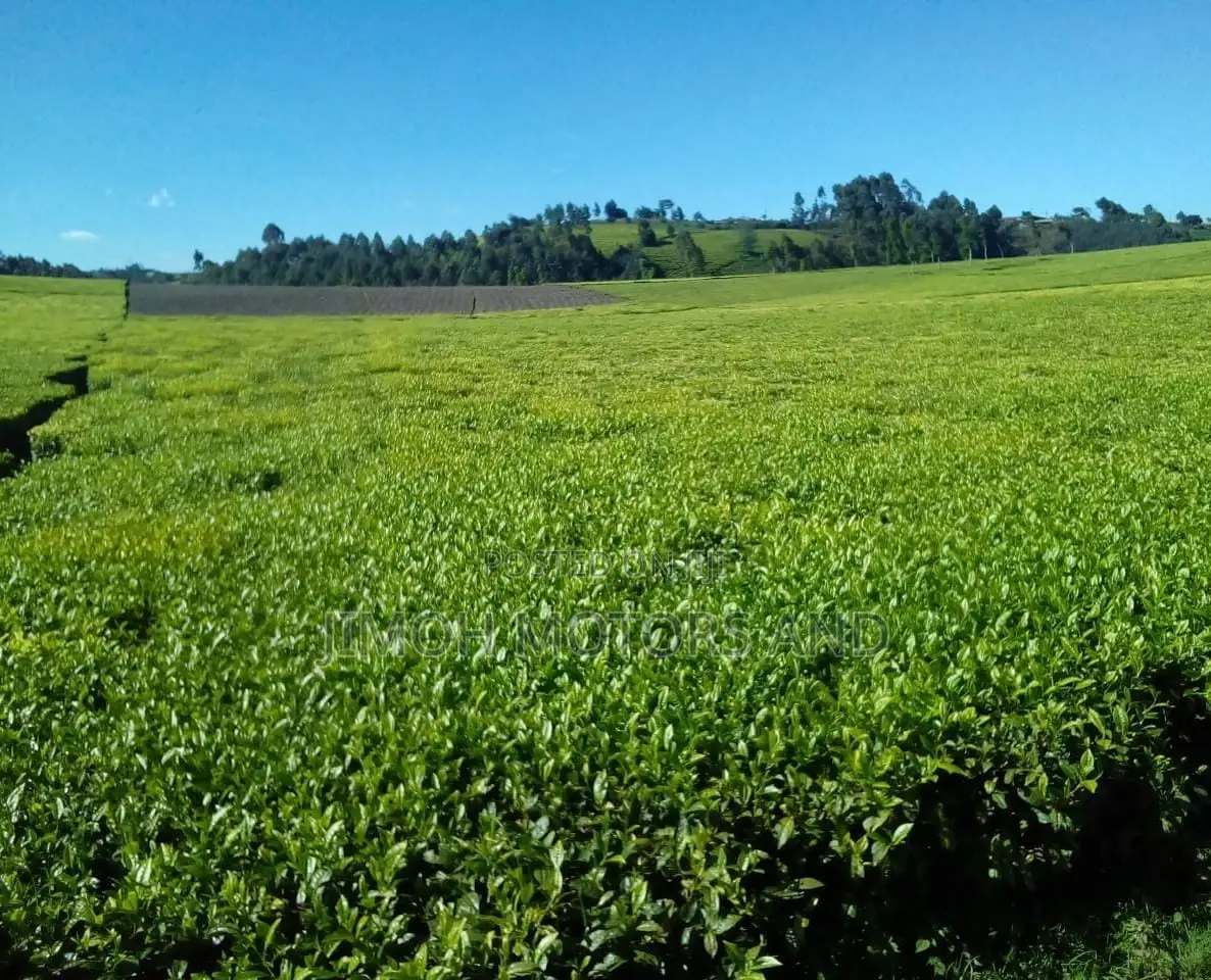 Land for Sale in Limuru