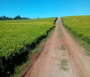 Land for Sale in Limuru