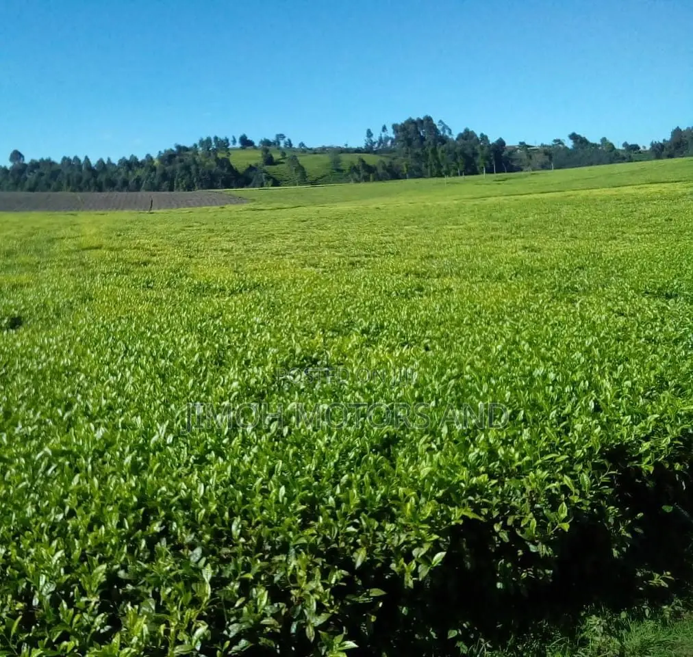 Land for Sale in Limuru