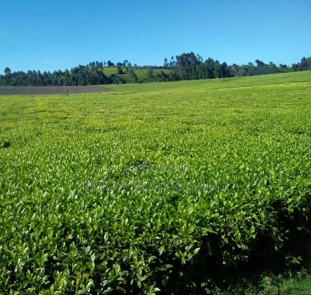 Land for Sale in Limuru - thumbnail 7