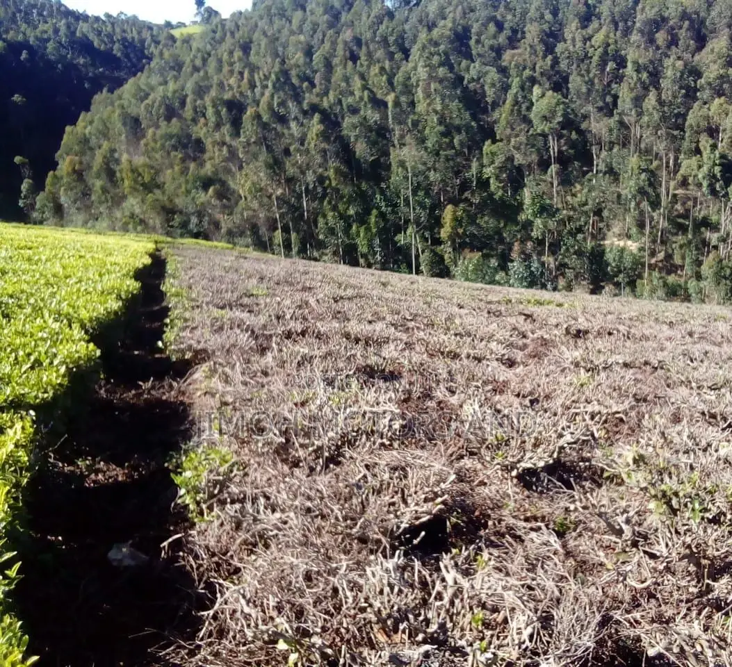 Land for Sale in Limuru