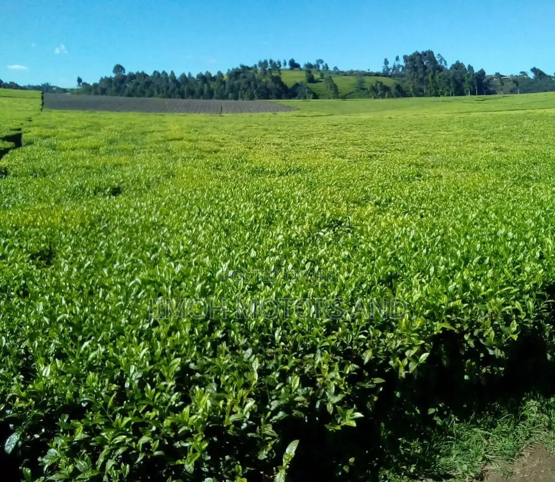 Land for Sale in Limuru