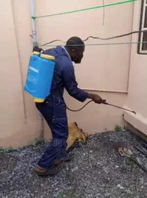 Fumigation Reliable And Set Cleaning