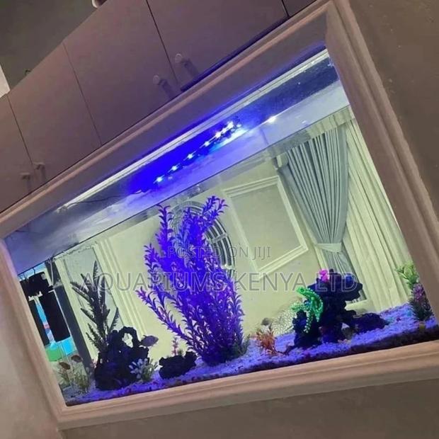 Double View Aquarium , Room Separater Aquarium - main view
