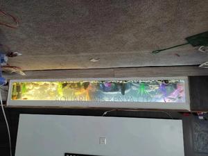 6ft Under Tv Aquarium - thumbnail 2