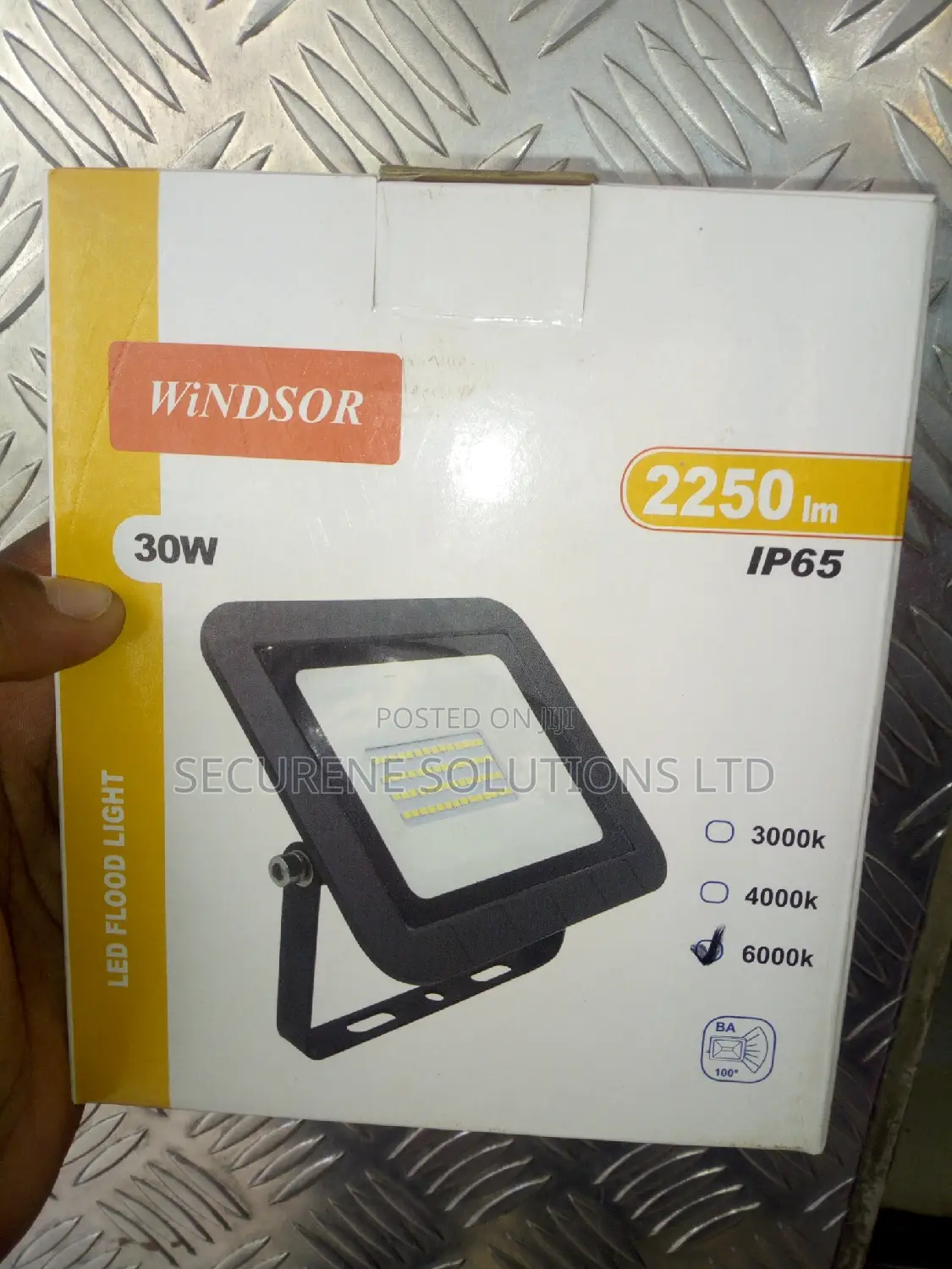Windsor 30 Watt Led Floodlight
