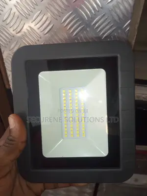Windsor 30 Watt Led Floodlight
