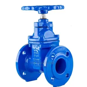 Sluice Gate Valve 2inch