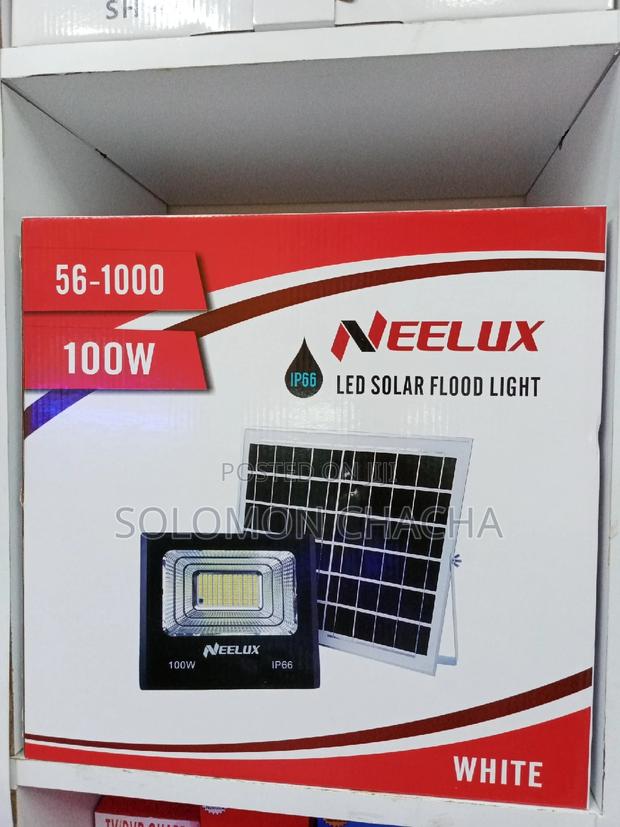 Neelux 100W Flood Light - main view