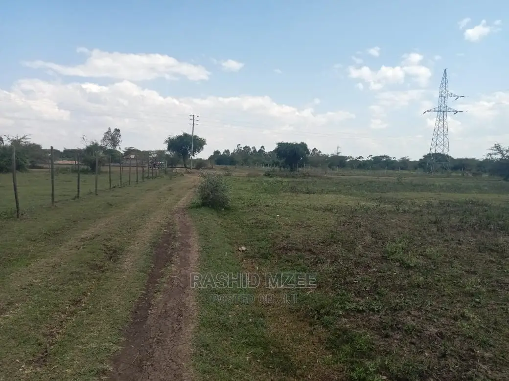 Rabuor Plots (0.2 HA)