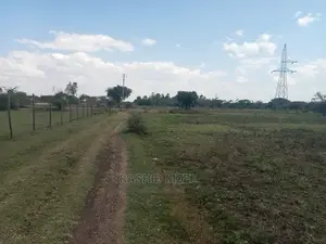 Rabuor Plots (0.2 HA)