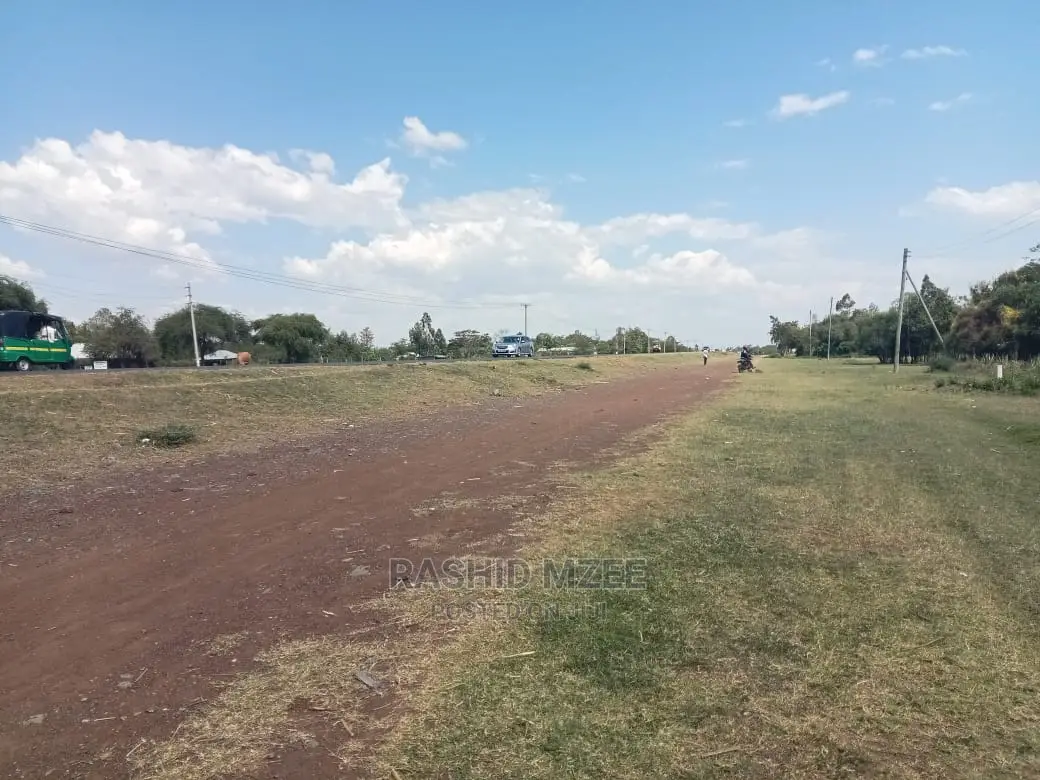 Rabuor Plots (0.2 HA)