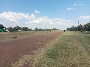 Rabuor Plots (0.2 HA)