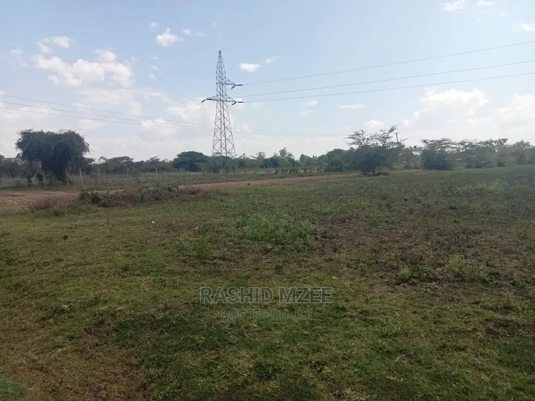 Rabuor Plots (0.2 HA)