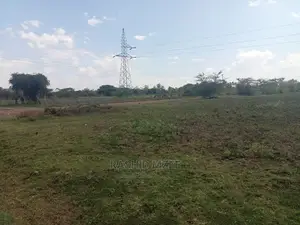 Rabuor Plots (0.2 HA)