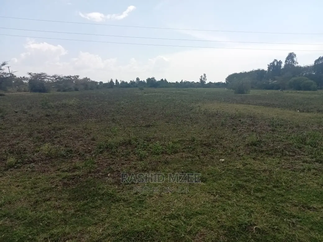 Rabuor Plots (0.2 HA)