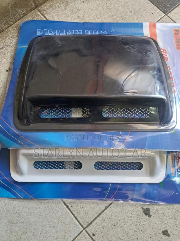Bonnet Air Scoop