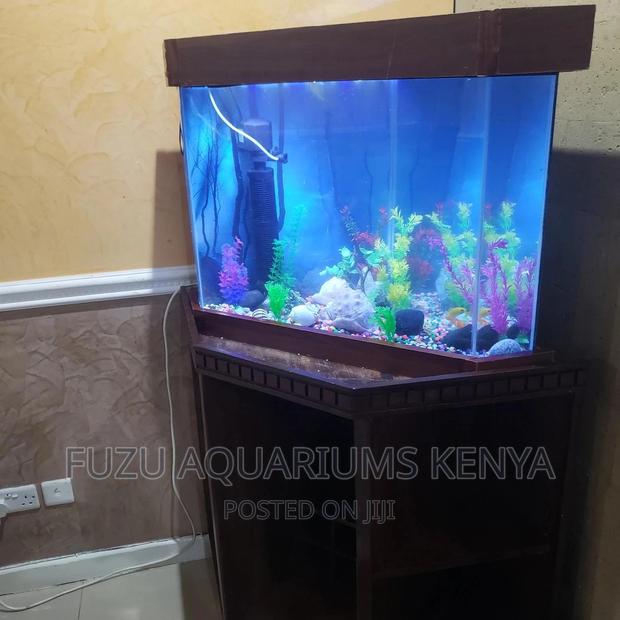 Aquarium Any Shape