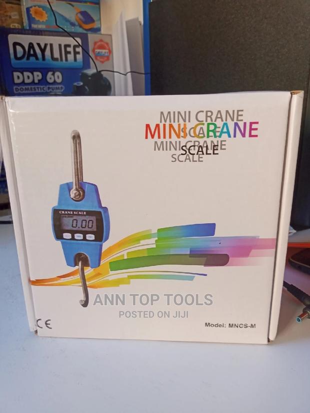 300 Kg Crane Scale - main view