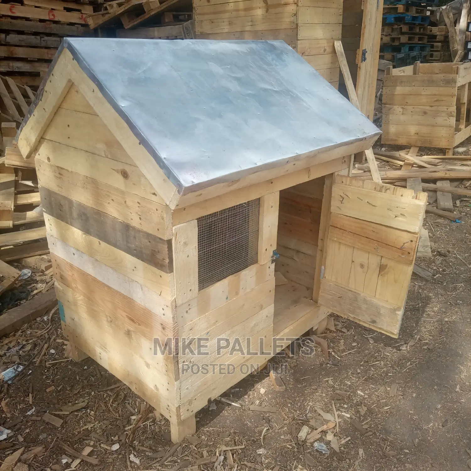 Dog Kennel and Puppies