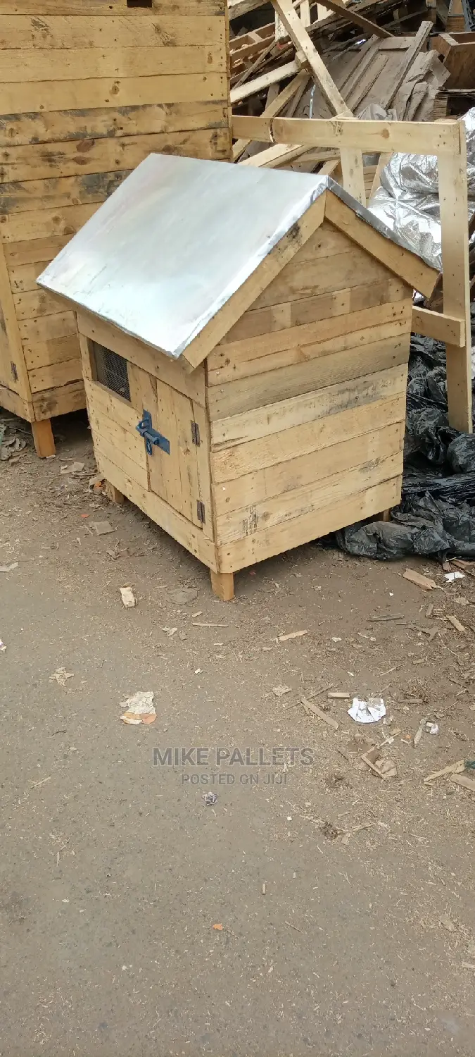 Dog Kennel and Puppies