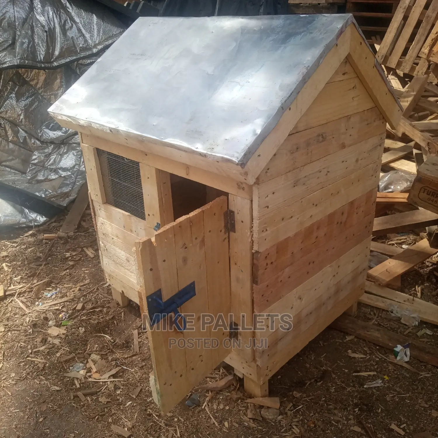 Dog Kennel and Puppies