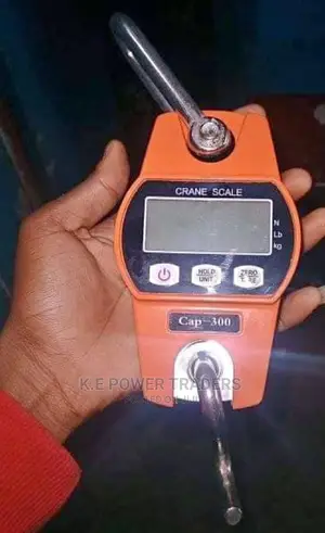 Battery Operated 300kg Crane Scale