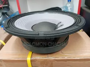 Naked Jbl 12inch Speaker 3000W