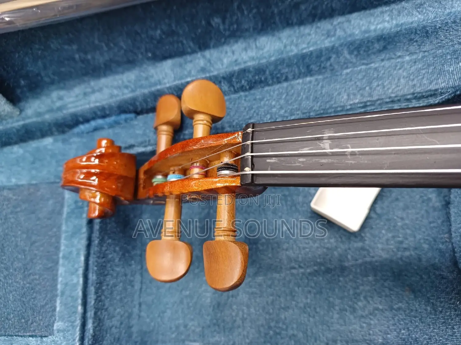 USA Maple Violin
