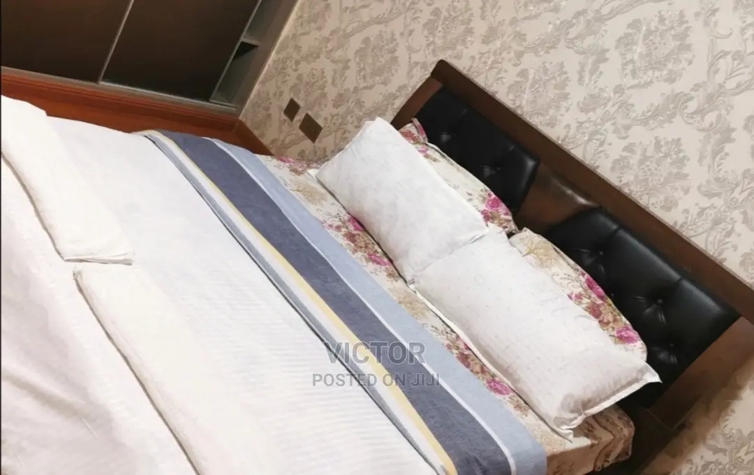 Furnished 3bdrm Apartment in State House Area for rent