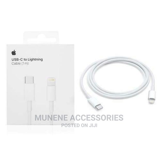 Apple USB Type C to Lightning Cable iPhone and Macbook 1m