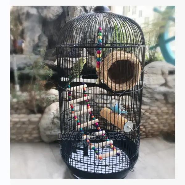 Round Sonata Bird Cage for Small Bird - thumbnail 4