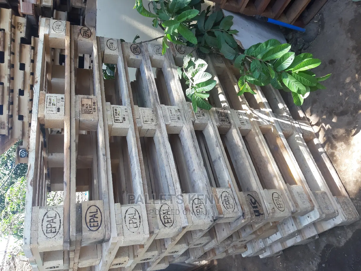 Wood Pallets- 001